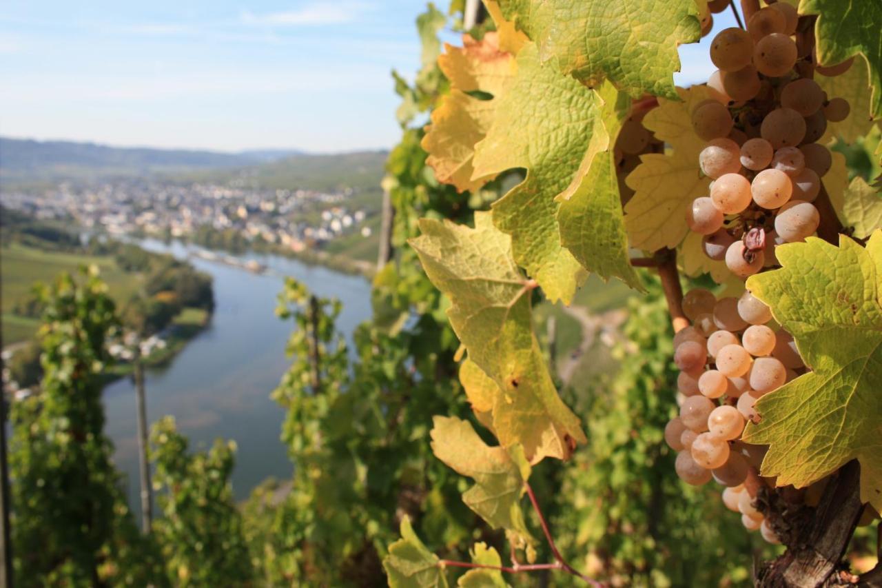 Weingut Markus Junglen Kröv Εξωτερικό φωτογραφία